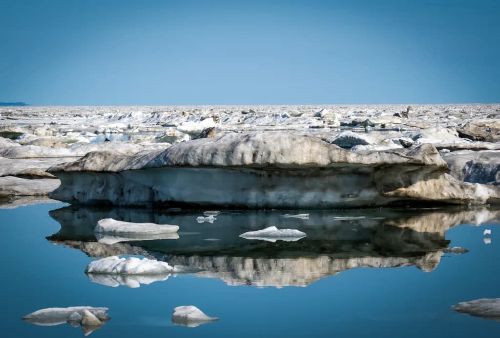 Chillin' with Icebergs: A Reflection on Nature's Coolest Artistry