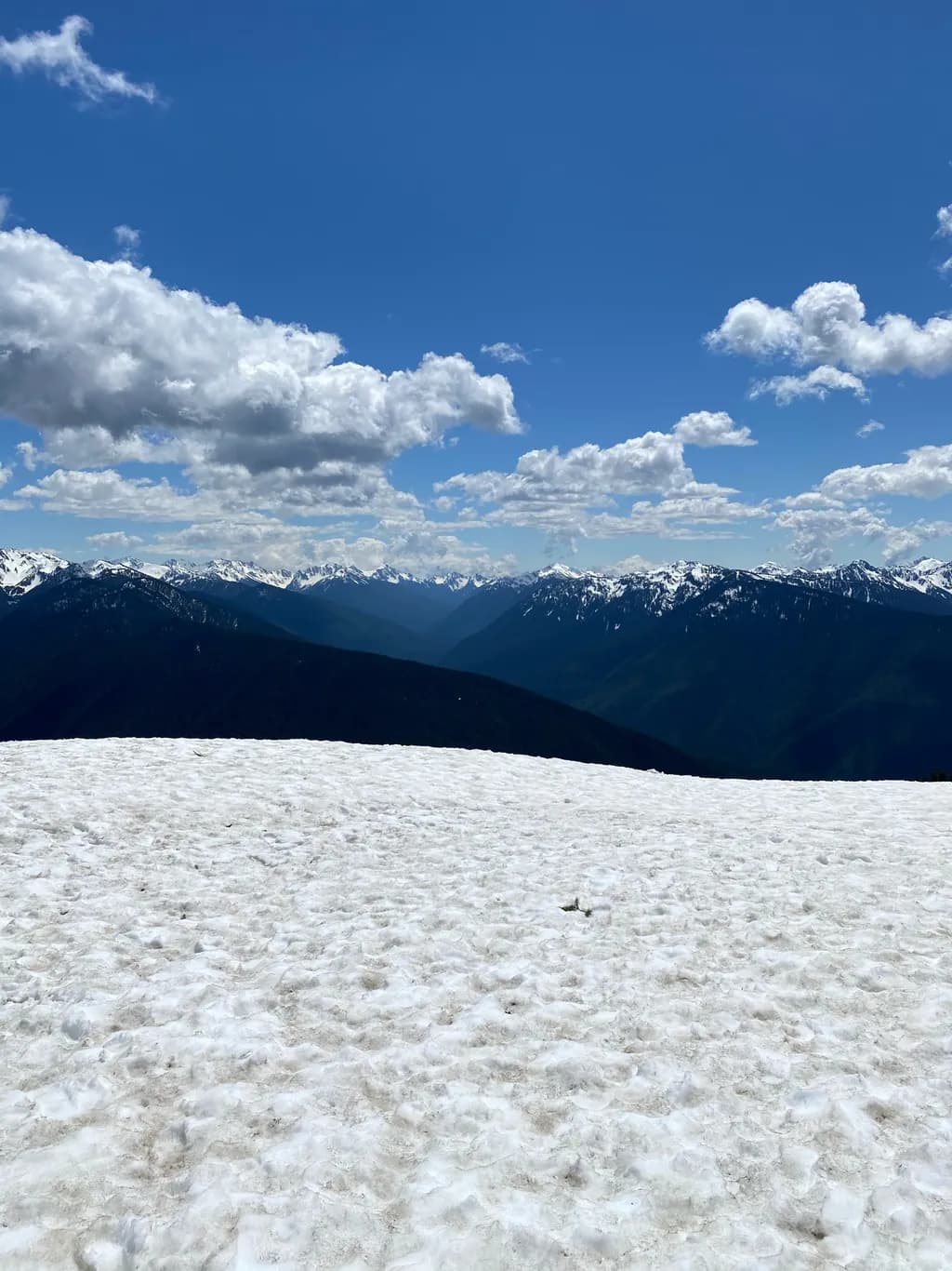 Snowcap Panorama