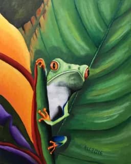 Red-Eyed Tree Frog