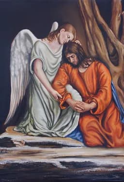 The Angel’s Comfort