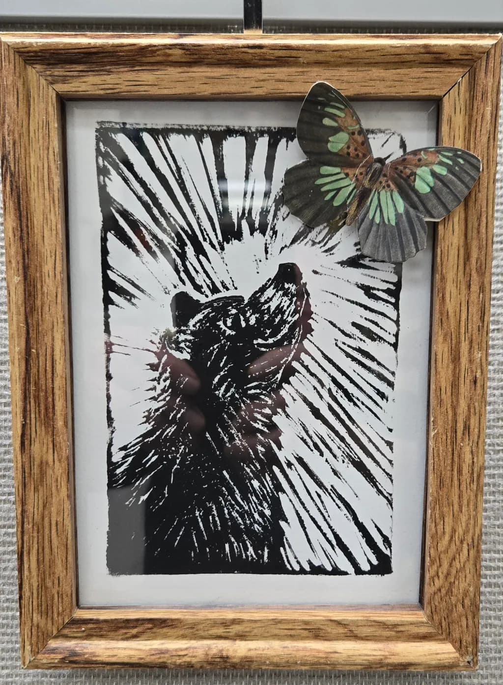 Whispers of the Wild: A Bear's Call with Butterfly Elegance