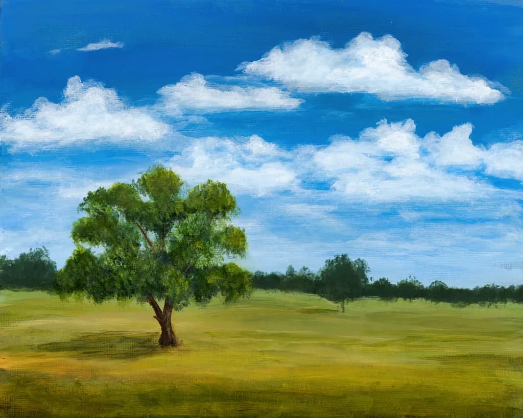 Under the Texas Sky
