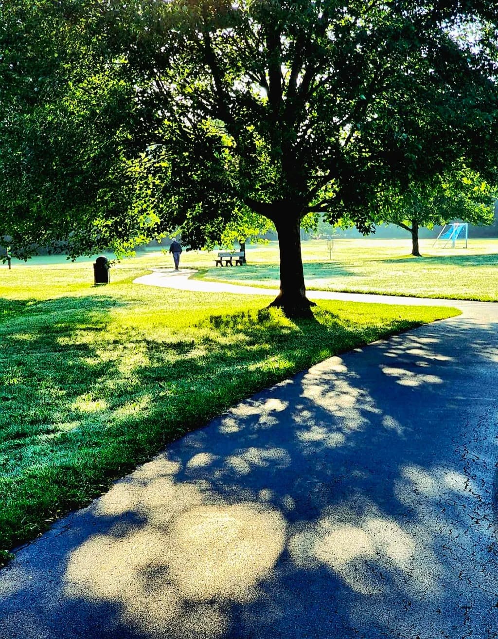 Morning Stroll