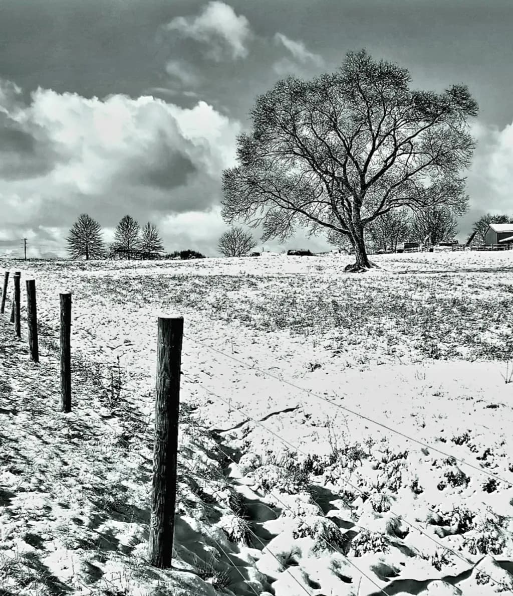 Winter's Embrace