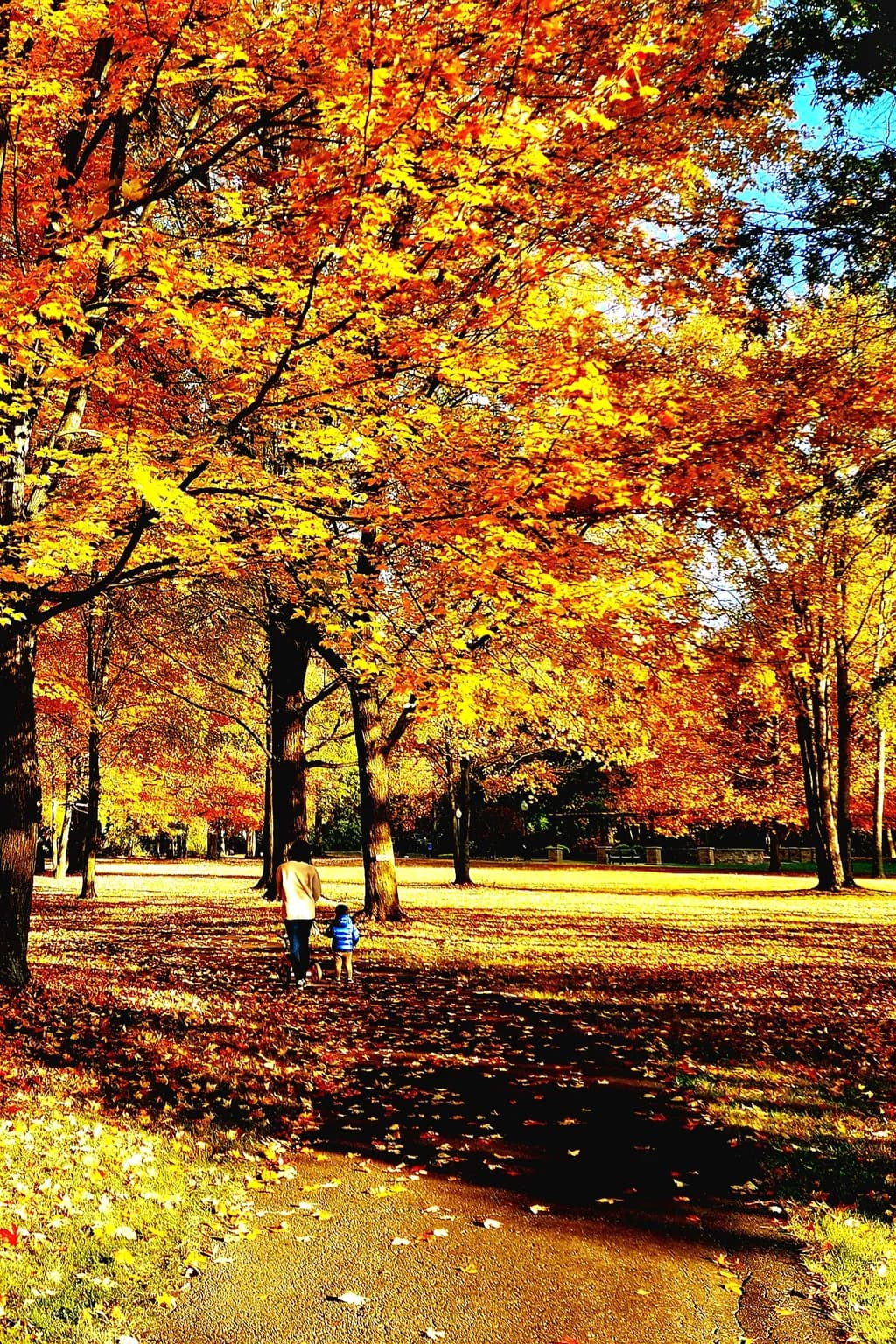 Autumn Stroll