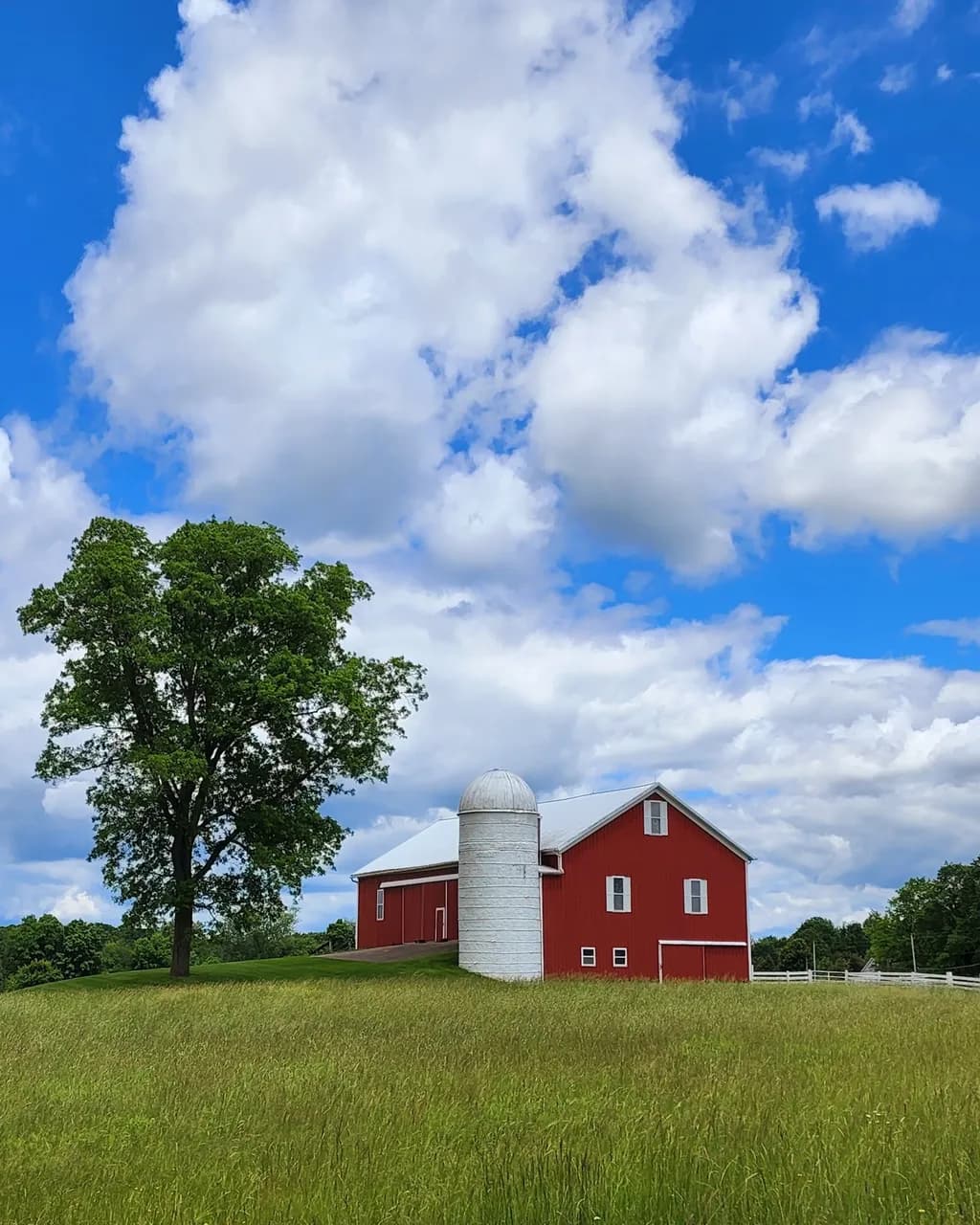 Red Barn Serenity
