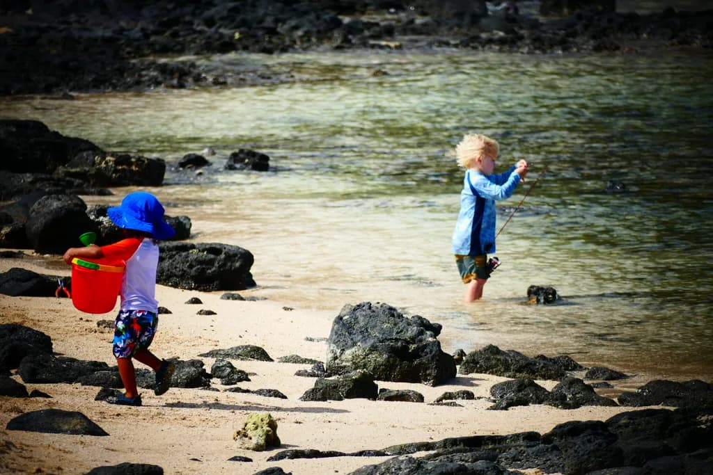 Beach Explorers