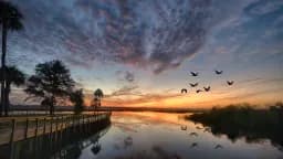 Still Water - Waking Light
