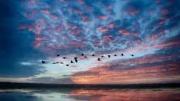 Where Morning Forgets the Horizon