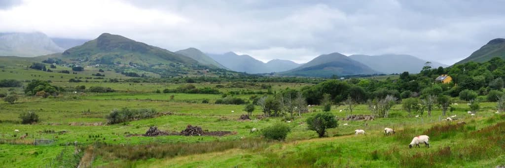 Kings' Pasture Panorama
