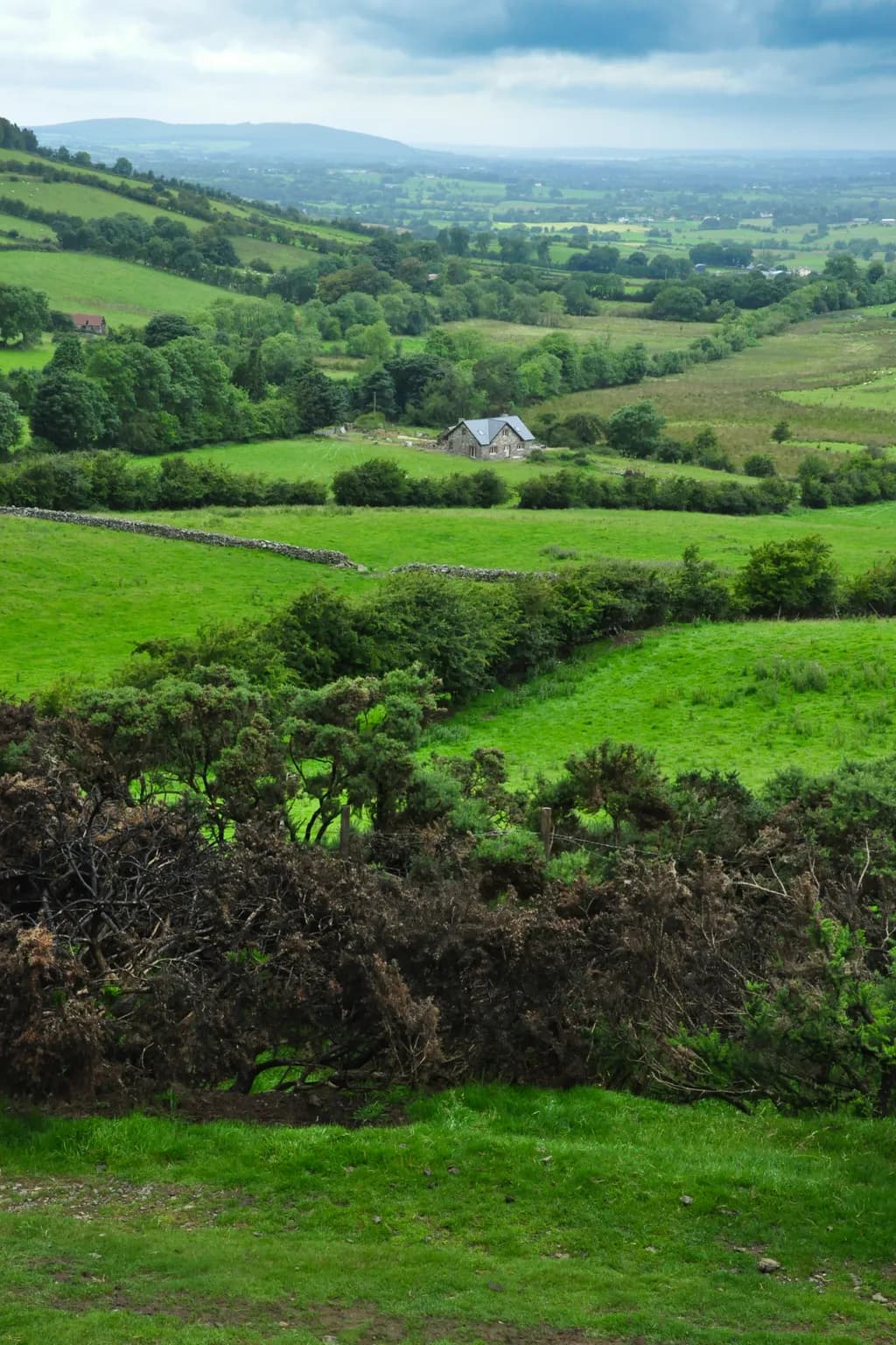 Loughcrew Hill Vista