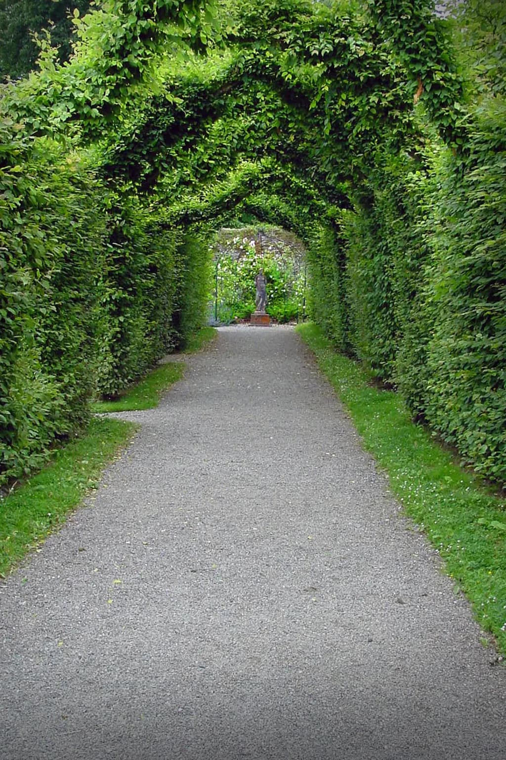 Birr Arbor Pathway