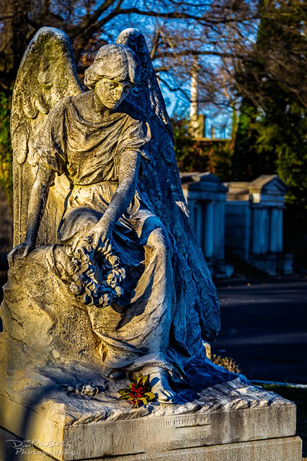 Stone Angels