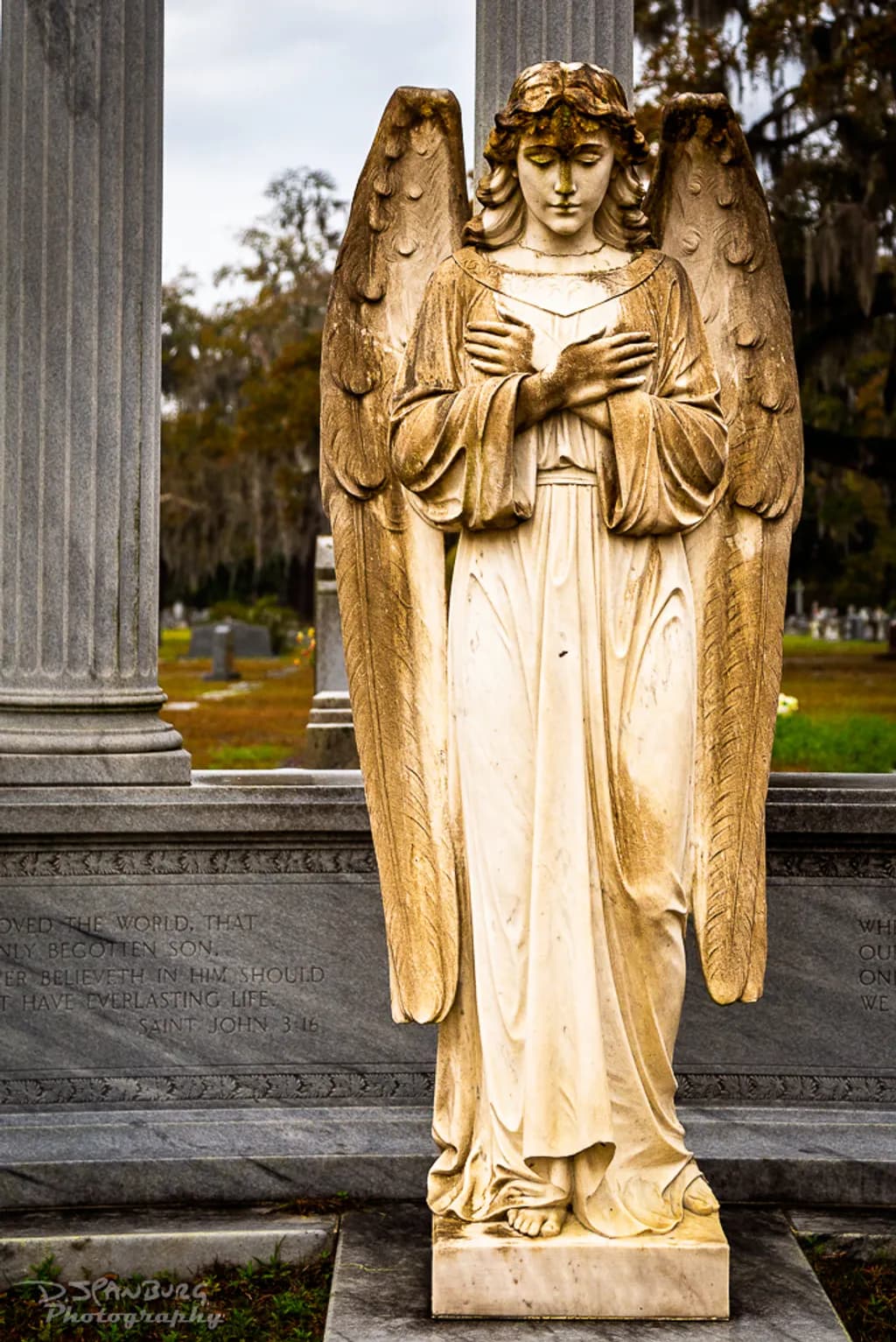 Stone Angels