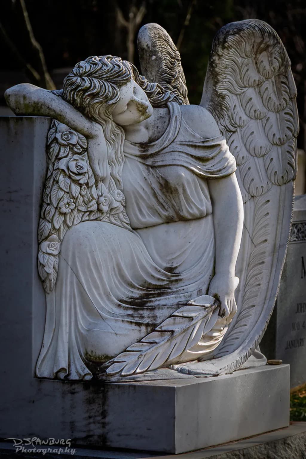 Stone Angels