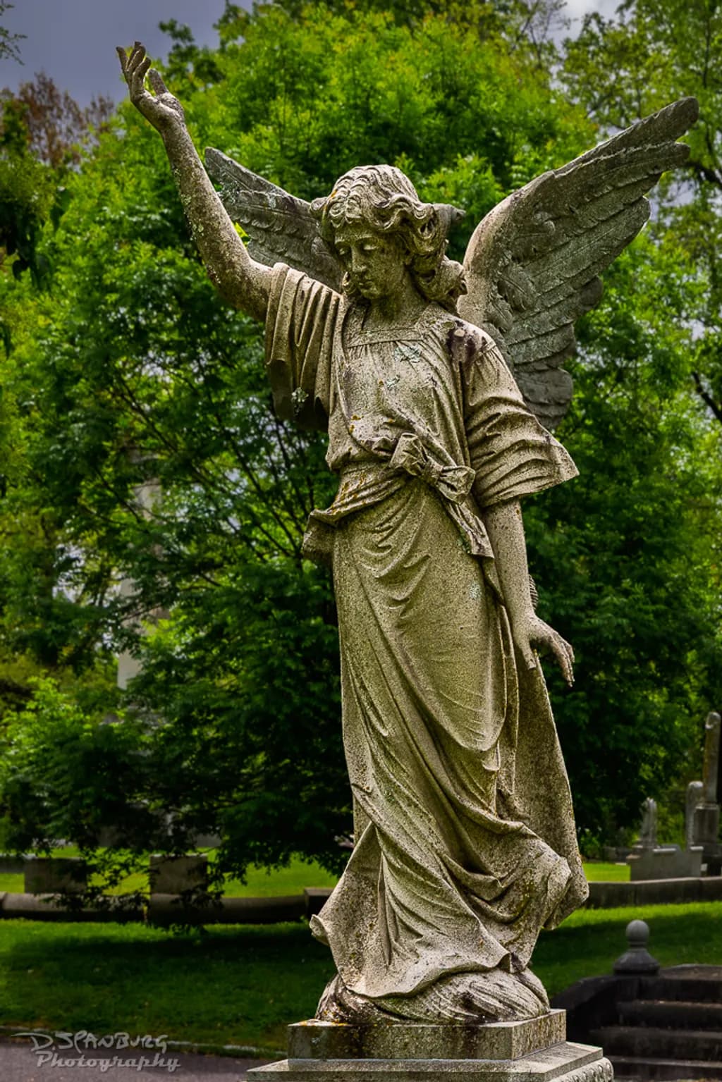 Stone Angel