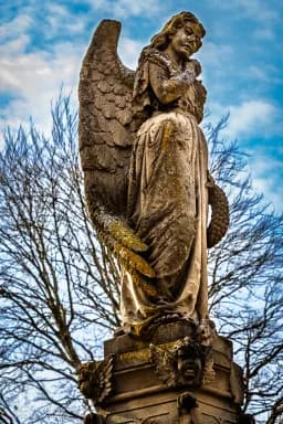 Stone Angel