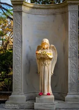 Stone Angel