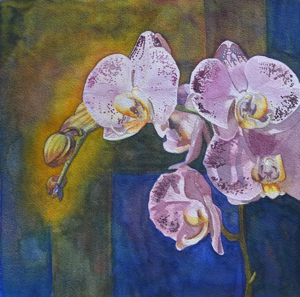 Lavender Orchids