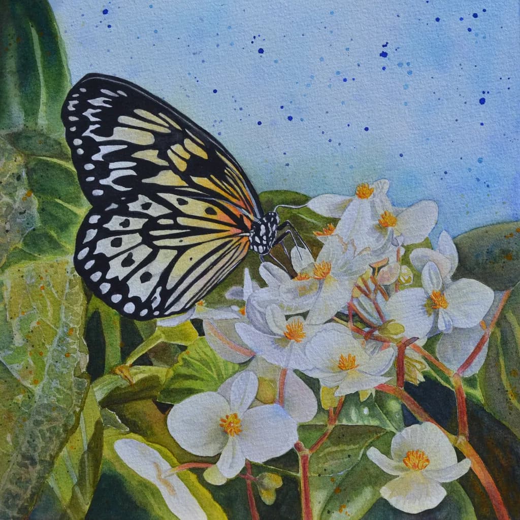Petal Ballet