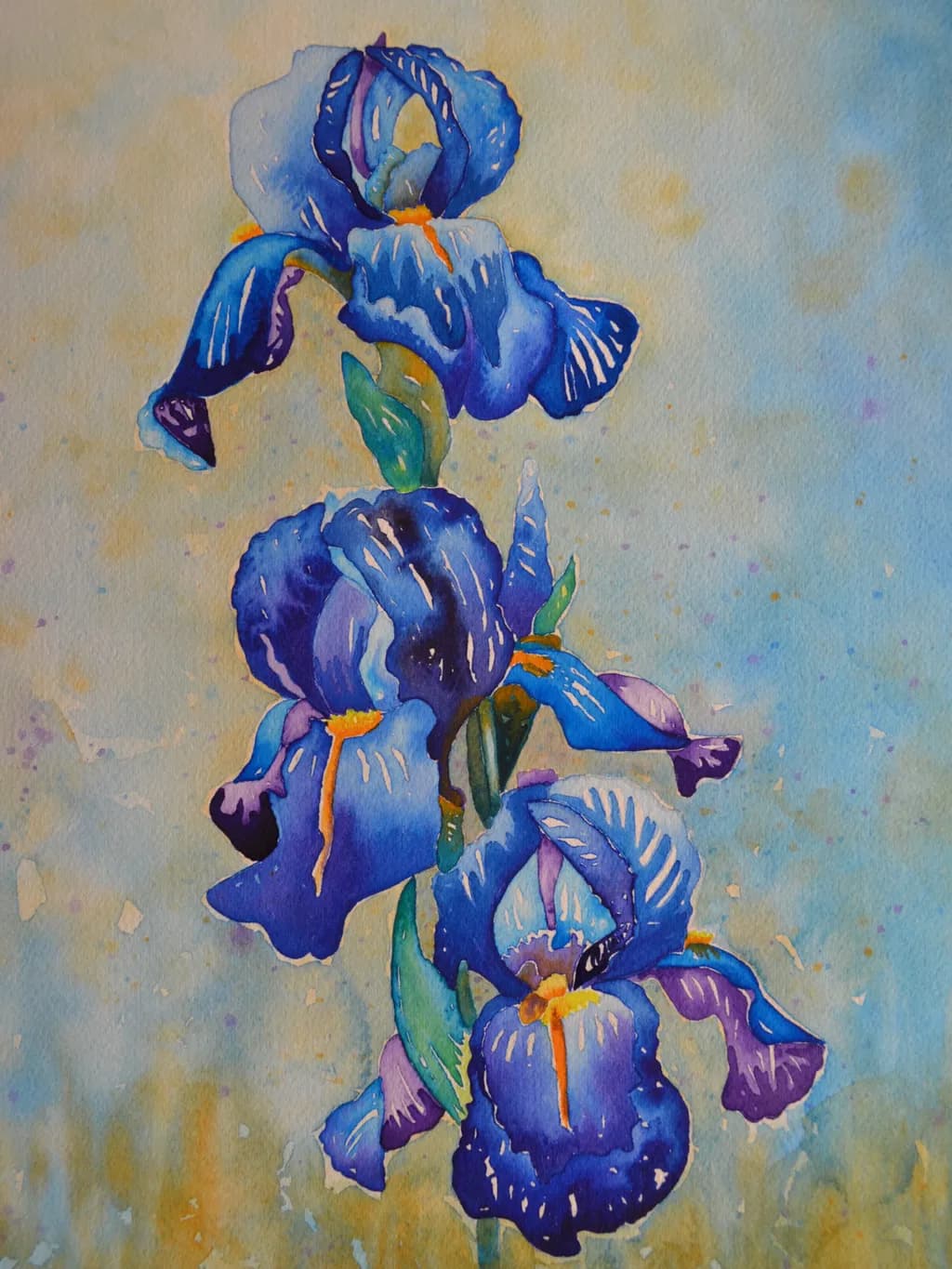 Iris in the Blues
