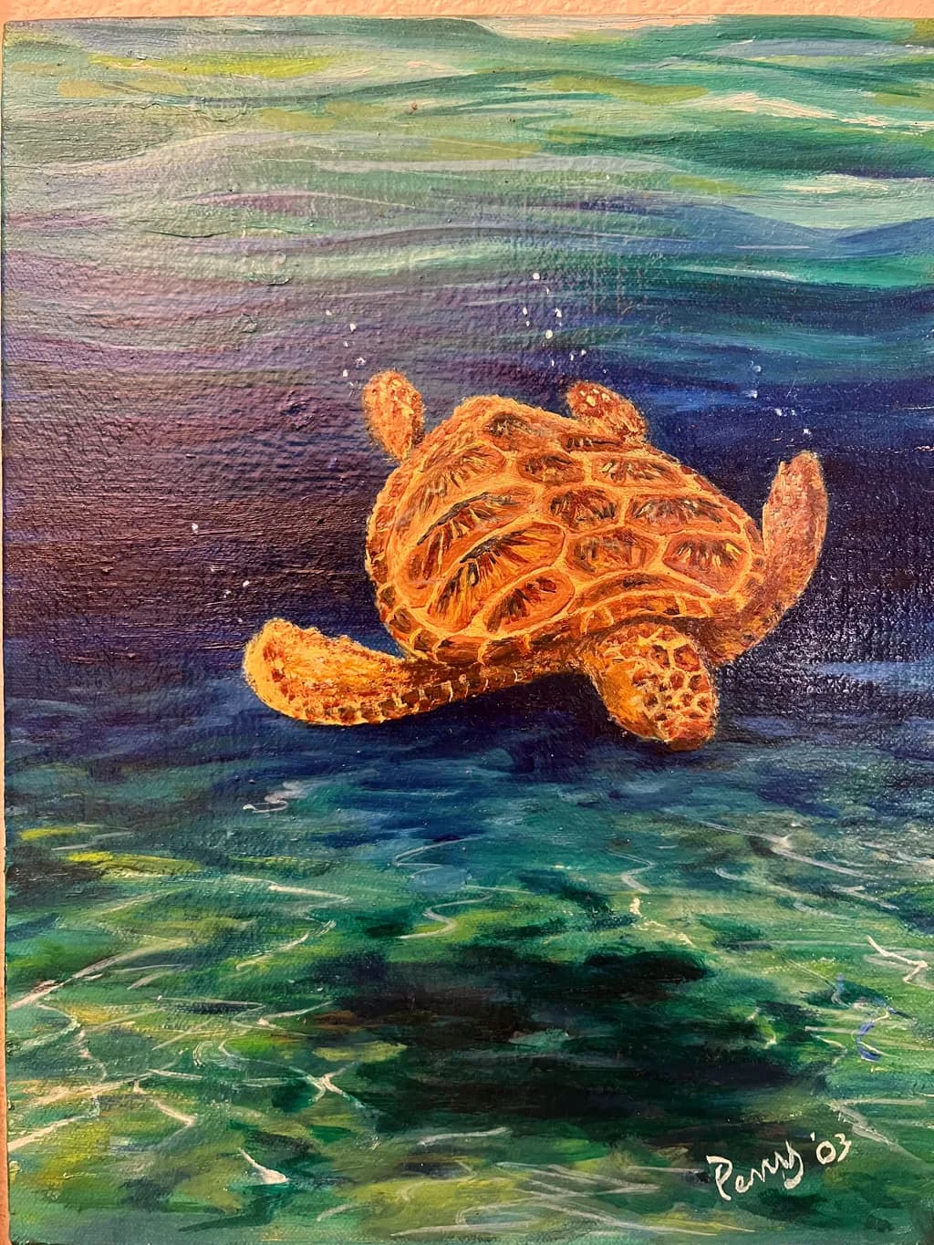 Turtle Glide