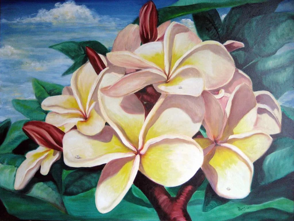 Plumeria Blossom