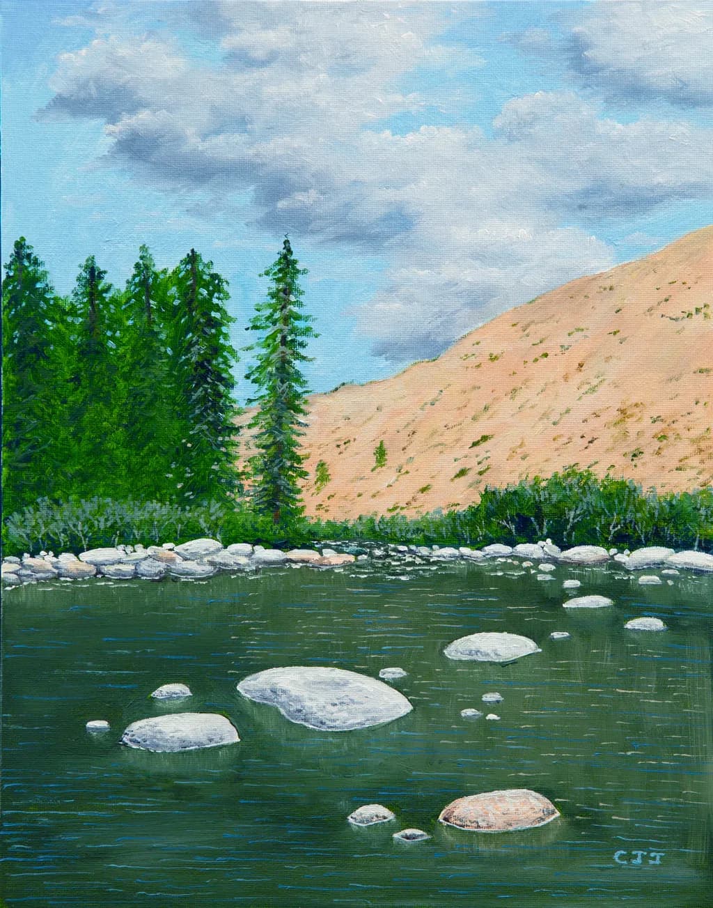 Serenity by the Water's Edge: A Tranquil Landscape of Trees and Rocks Under a Cloudy Sky