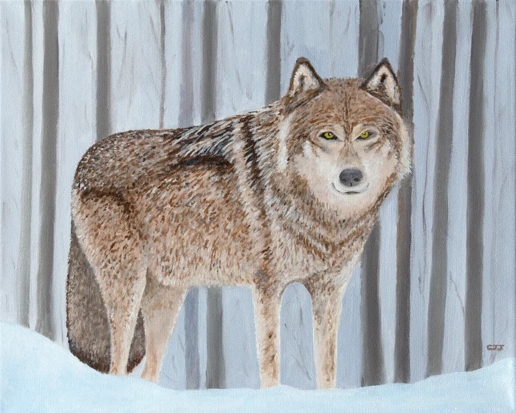 Silent Sentinel: A Majestic Wolf in Winter's Embrace