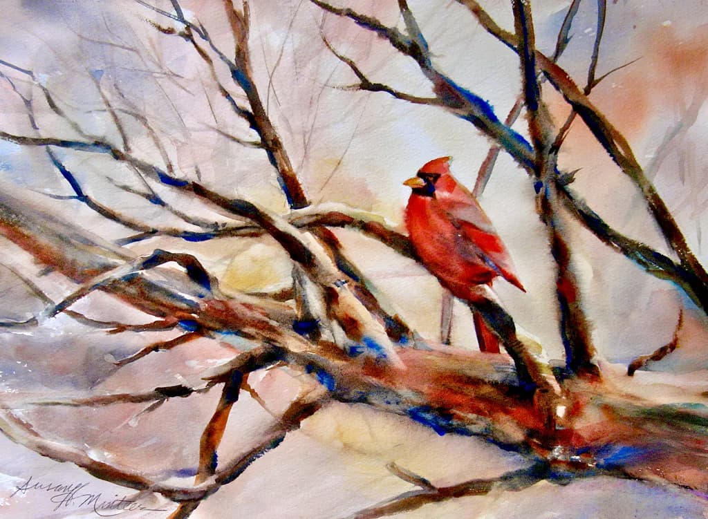 Cardinal on Bare Branch