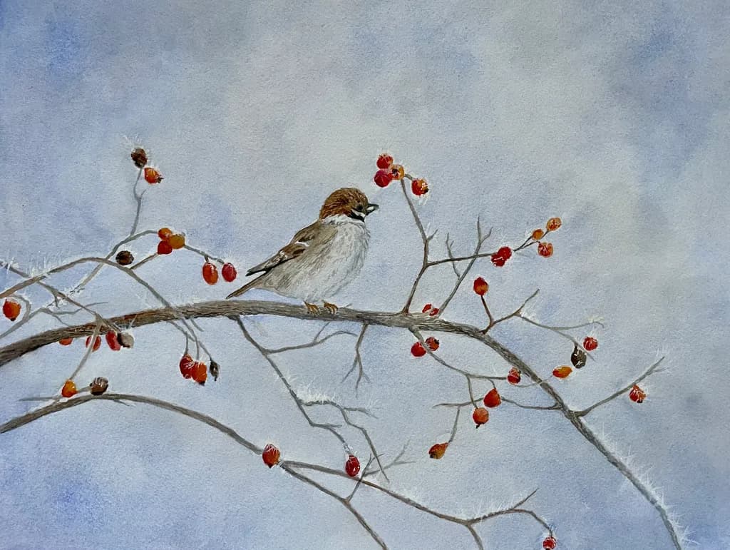 Bird on a Branch