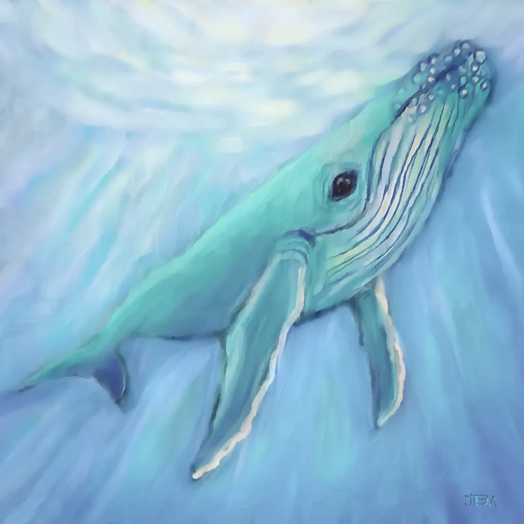 Where the Light Finds You 🐋🌊💙