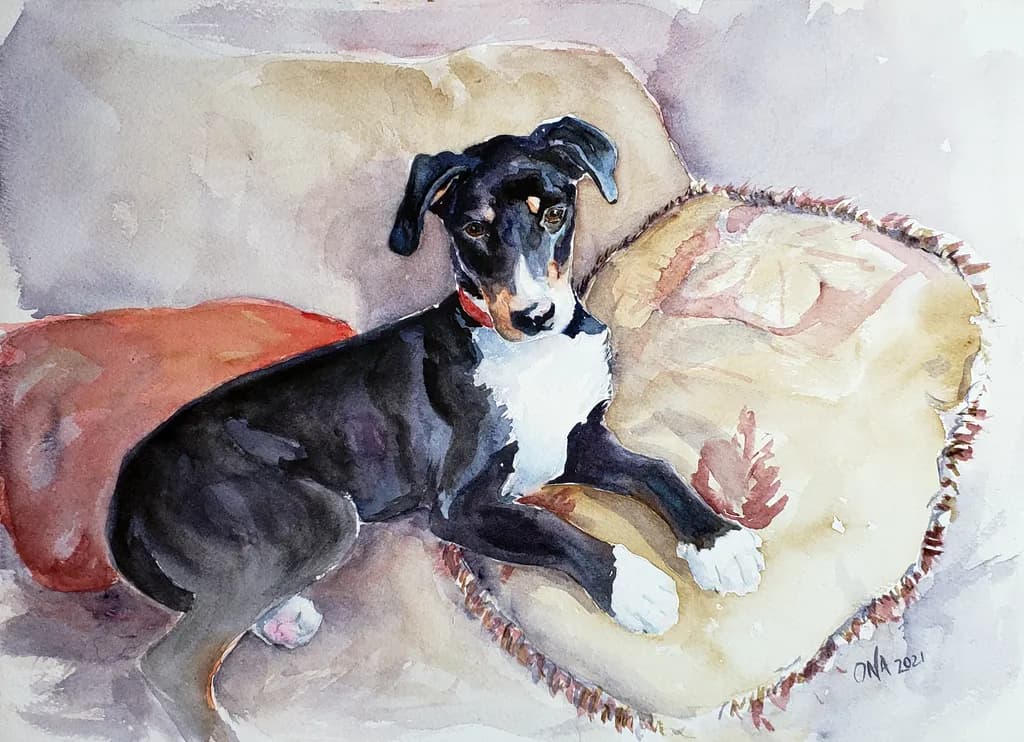 Whimsical Whiskers: A Cozy Canine Portrait in Watercolor