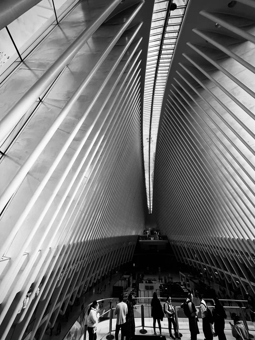 Monochrome Architecture