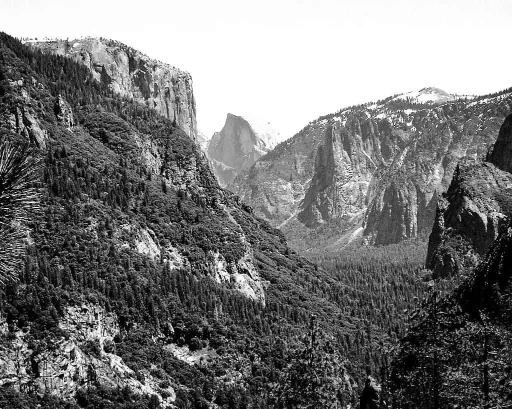 Mountain Majesty