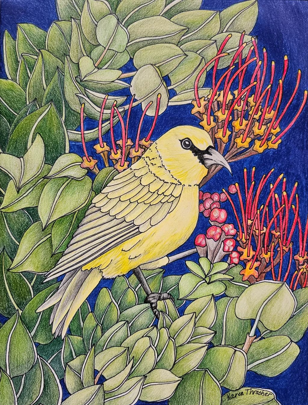 Golden Oriole Nestled
