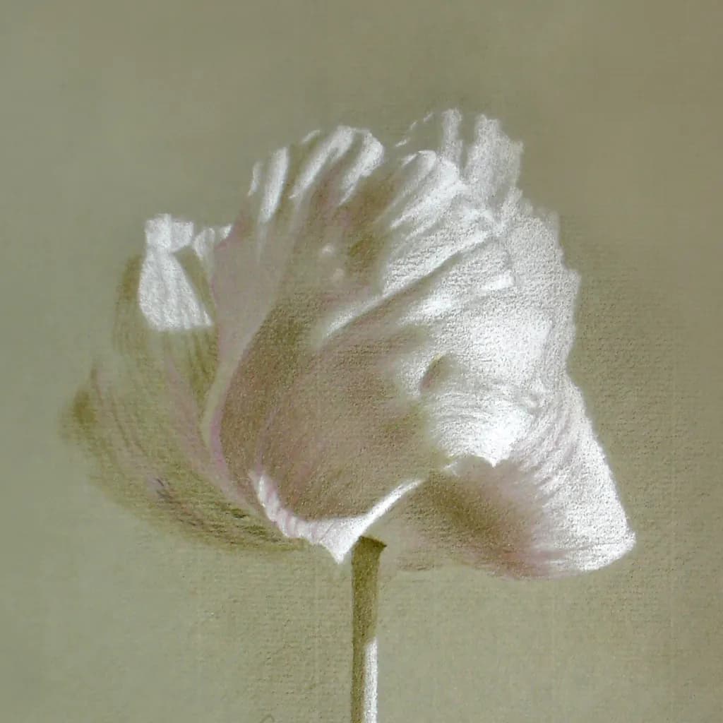 Whispers of Elegance: A Delicate Bloom in Soft Hues