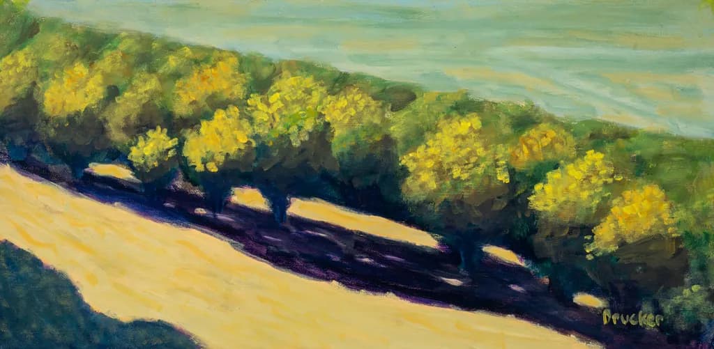 Sunlit Grove Shadows