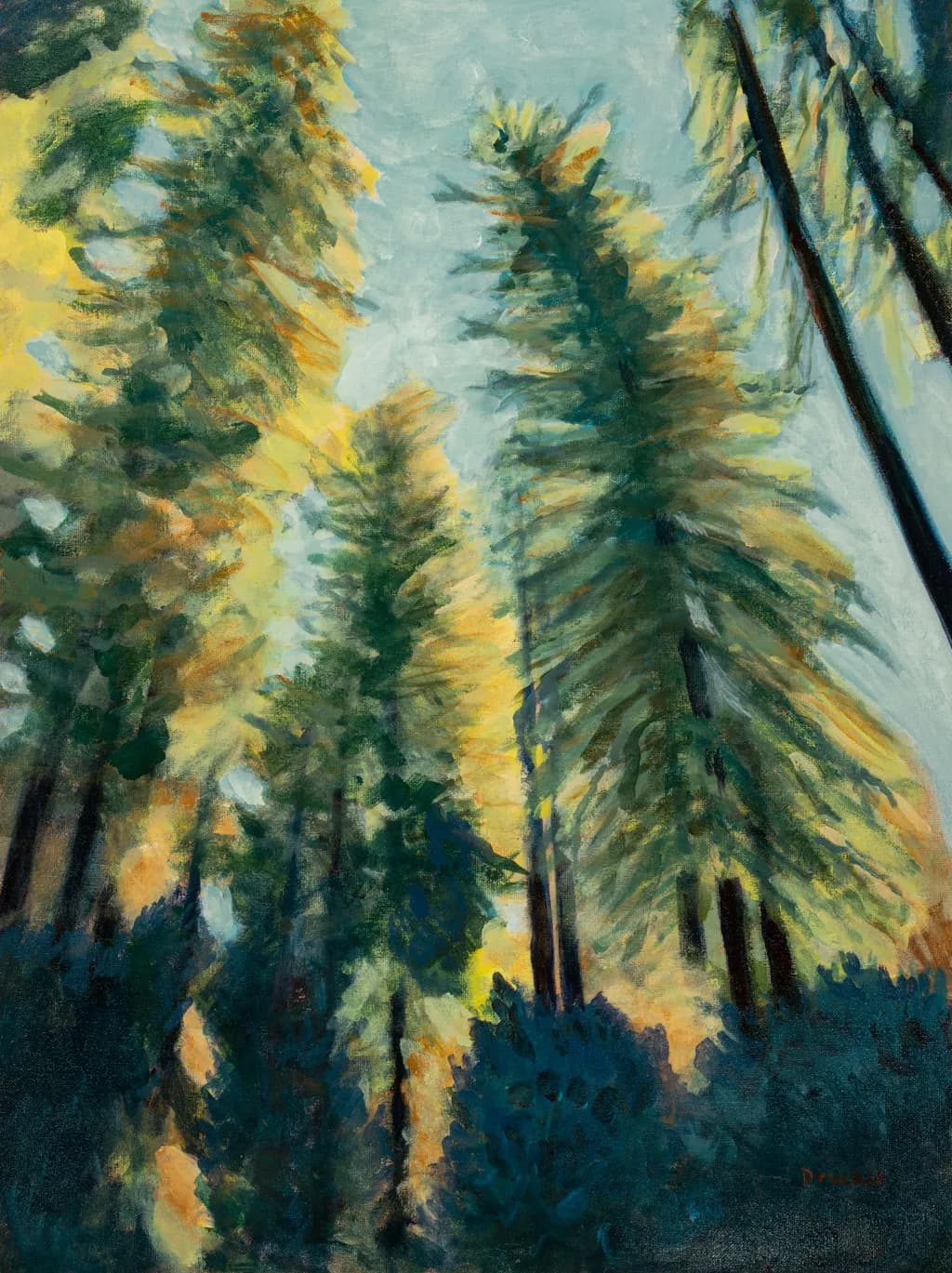 Canopy Glow