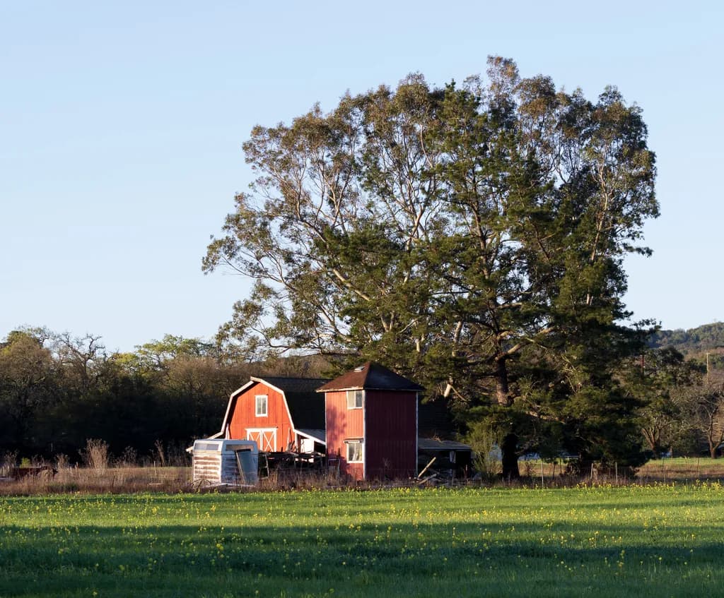 Rural Reflections