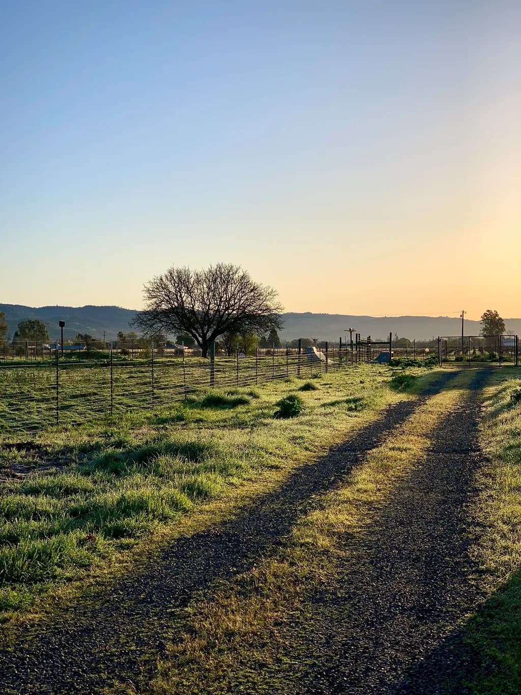 Morning Pathway