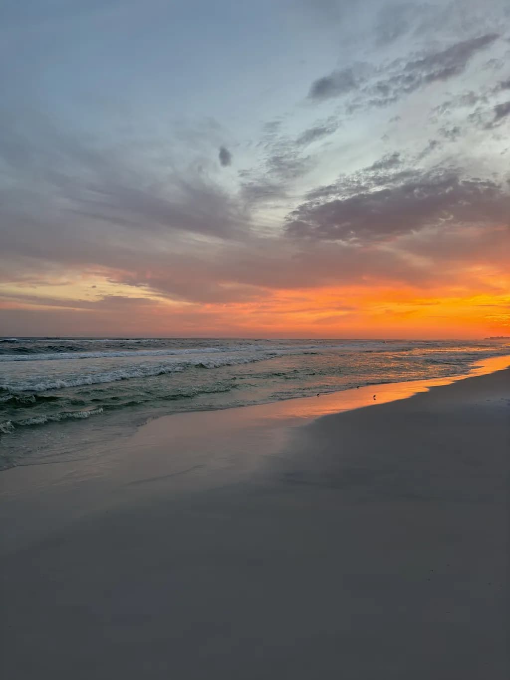 Late Summer Shore