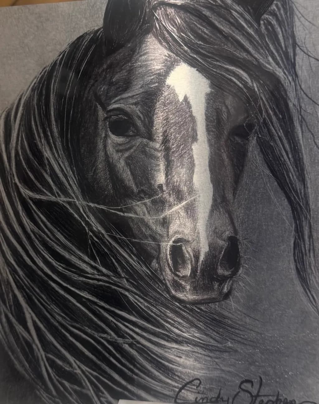 Horse Portrait