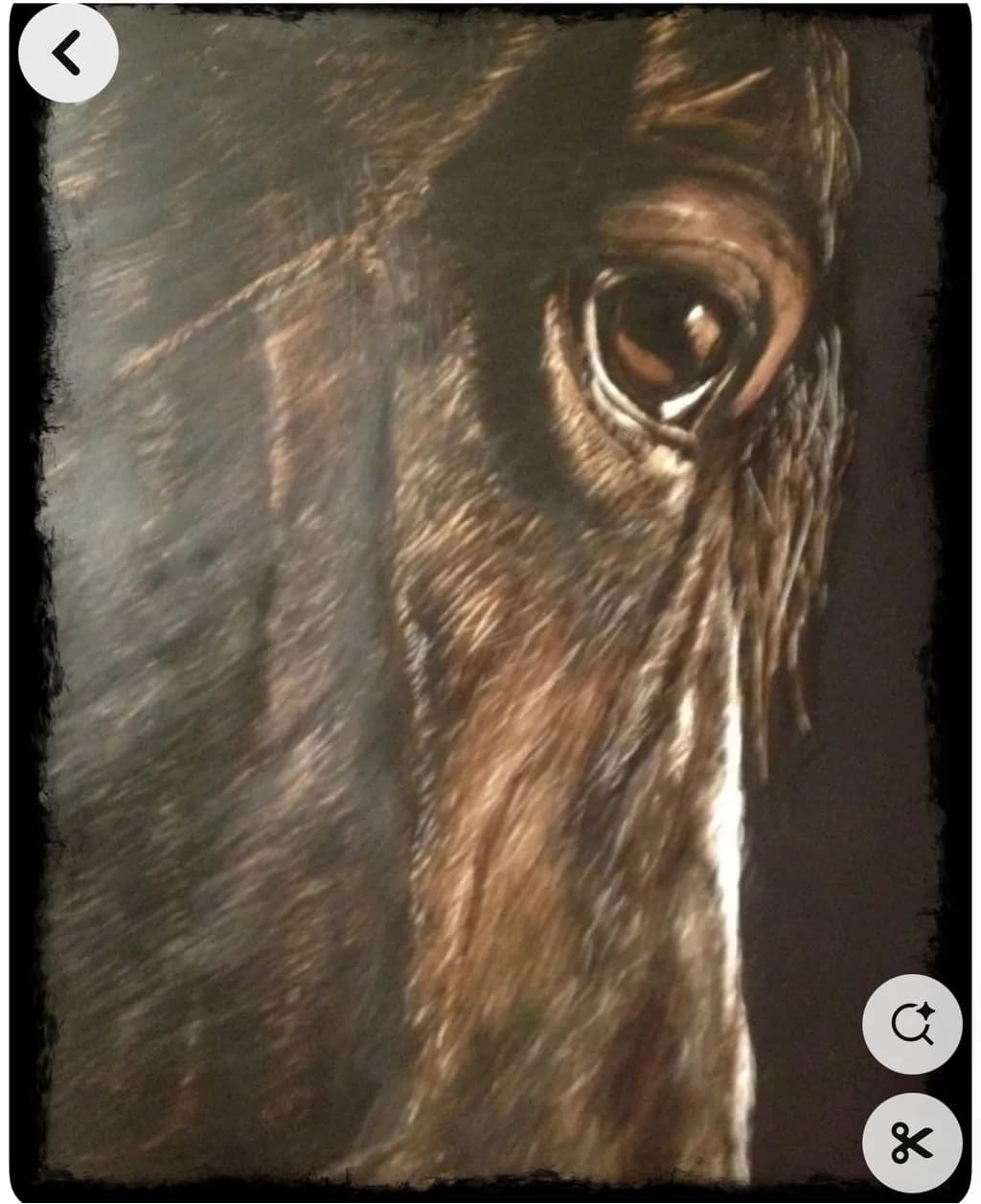 Equine Gaze