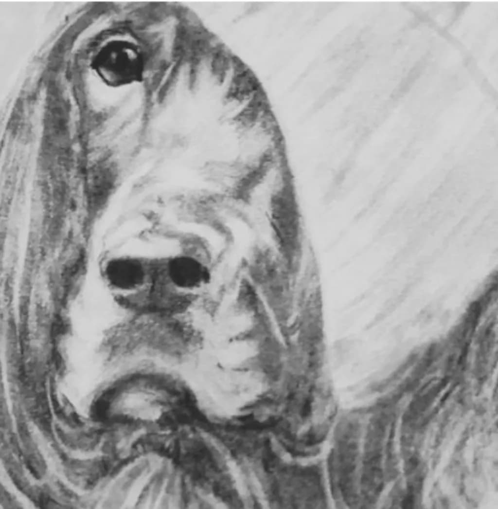 Bloodhound Gaze