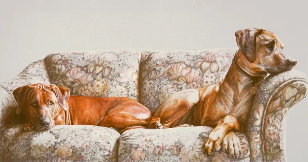 “Couch Potatoes” Relaxed…and Ready to Rumble