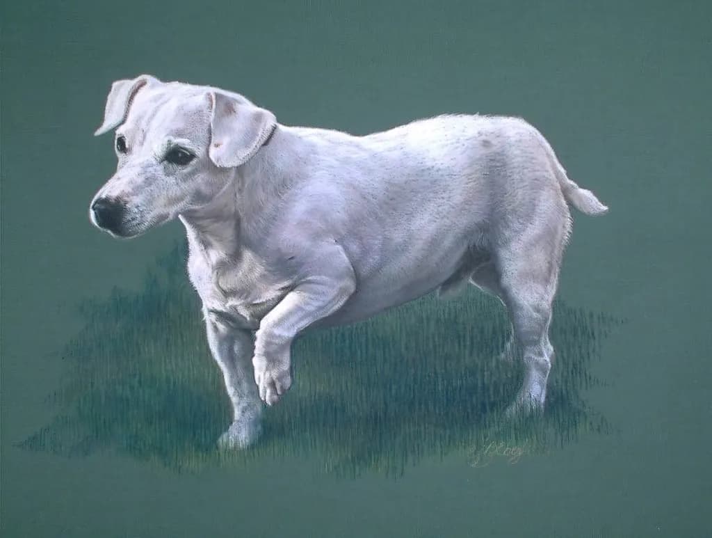“Jumpin’ Jack Flash” Zero to Squirrel in 2 Seconds