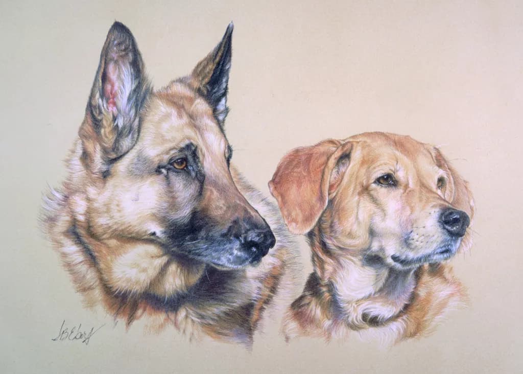 “Doggo Chums" A Picture of Sibling Devotion