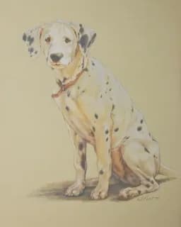 "Just a Teenager" With Spots