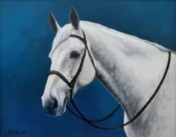 "Equine Nobility” A Classic Pose of a Classic Subject